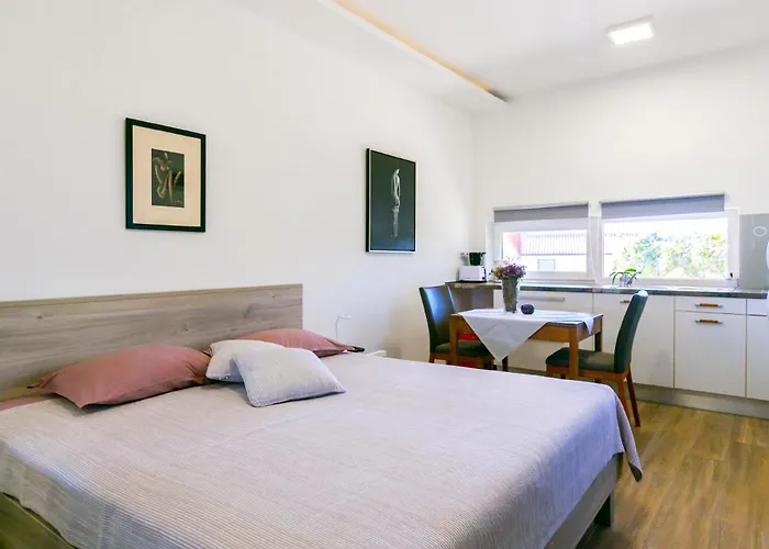 Elvira Gostinjska kuća 3*