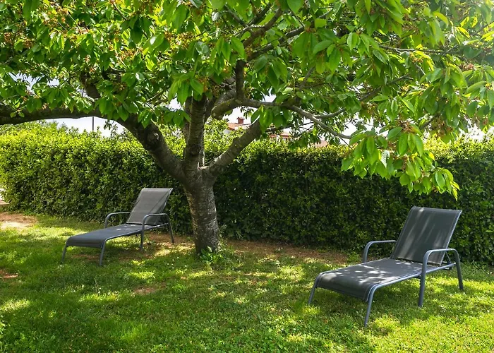 게스트하우스 Elvira 3*